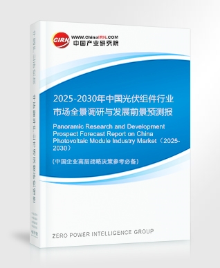 2025-2030年中國光伏組件行業(yè)市場全景調(diào)研與發(fā)展前景預(yù)測報告